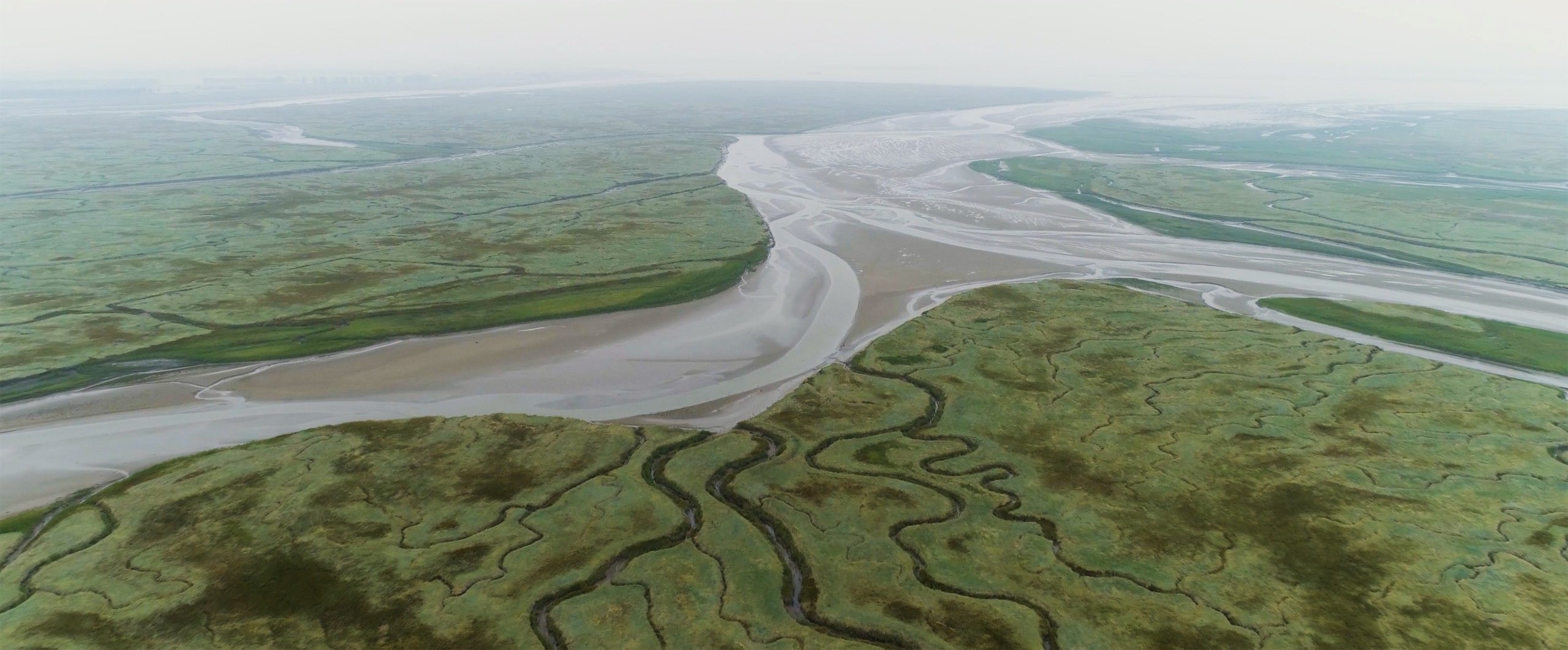 image of floodplains at texel.jpg